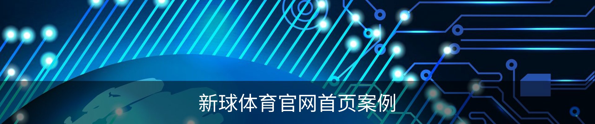 新球体育官网首页案例